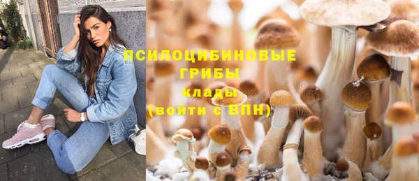 тгк Верея